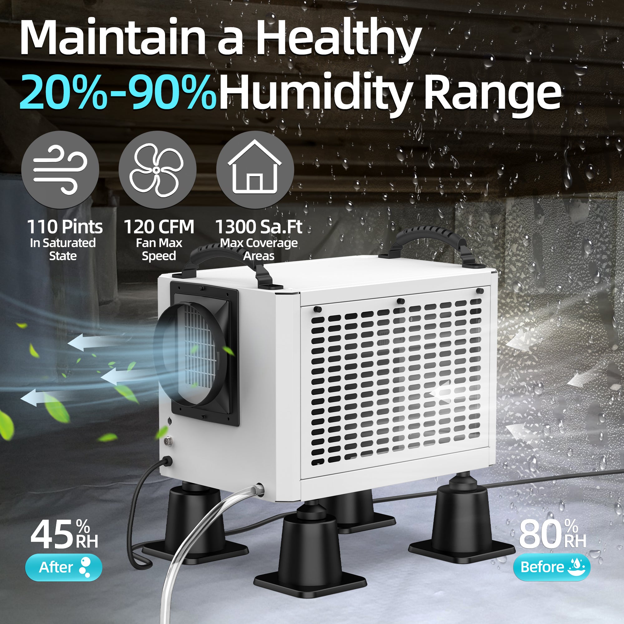 ブランデー canpit NOMAD 10-Rib Belt, 01-32731-529 NMD 01-32731-529-S | Diesel Dash