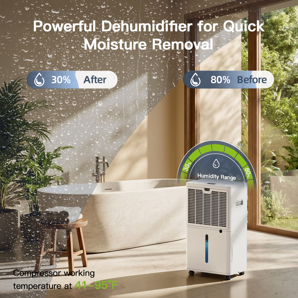 60-Pint 5000 Sq. Ft. Dehumidifier for Basement with Bucket and Drain Hose, Auto Defrost, Auto Shut-Off, 24-Hour Timer, White
