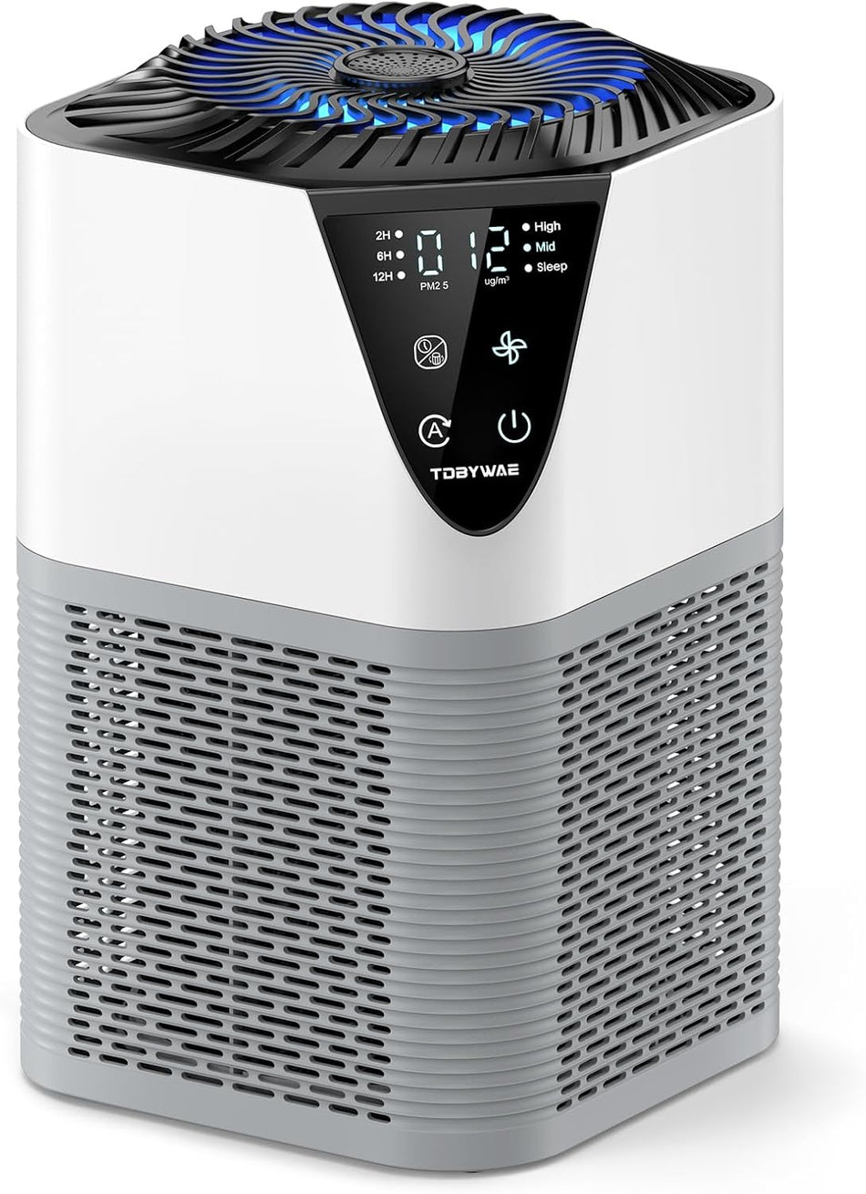 1250 Sq. Ft True HEPA Air Purifier in Gray with 3-Stage Filter, 3-Speed, Automatic Mode, Digital Display and 12H Timer