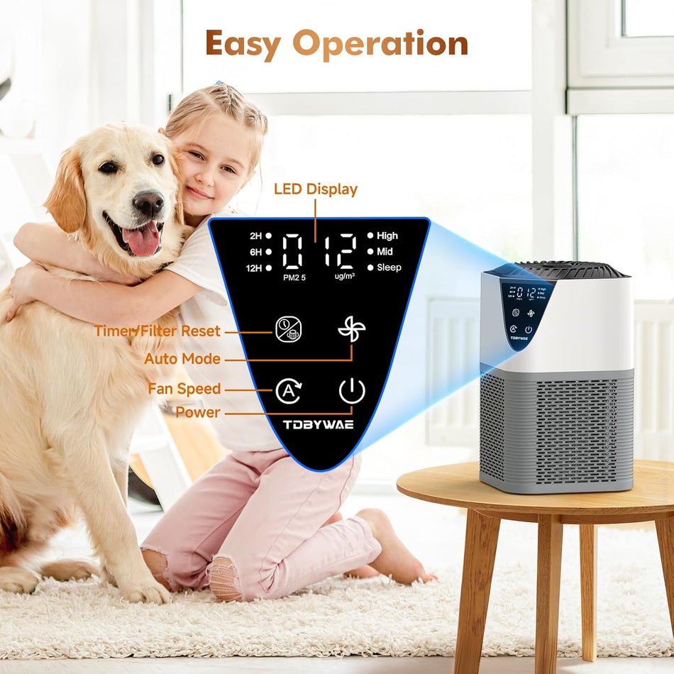 1250 Sq. Ft True HEPA Air Purifier in Gray with 3-Stage Filter, 3-Speed, Automatic Mode, Digital Display and 12H Timer