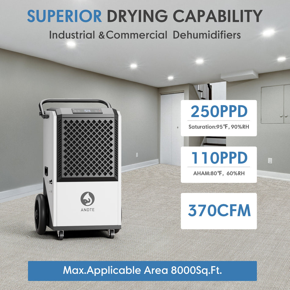 250 pt. 8,000 sq.ft. Heavy Duty Quiet Dehumidifier in White, with Pump and Drain Hose for Basement, Garge, Auto Defrost