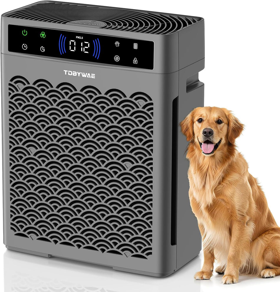 1250 sq. ft. True HEPA Air Purifier in Gray with Automatic Mode, 3-Speed, PM2. 5 Real-time Display and 12 H Timer